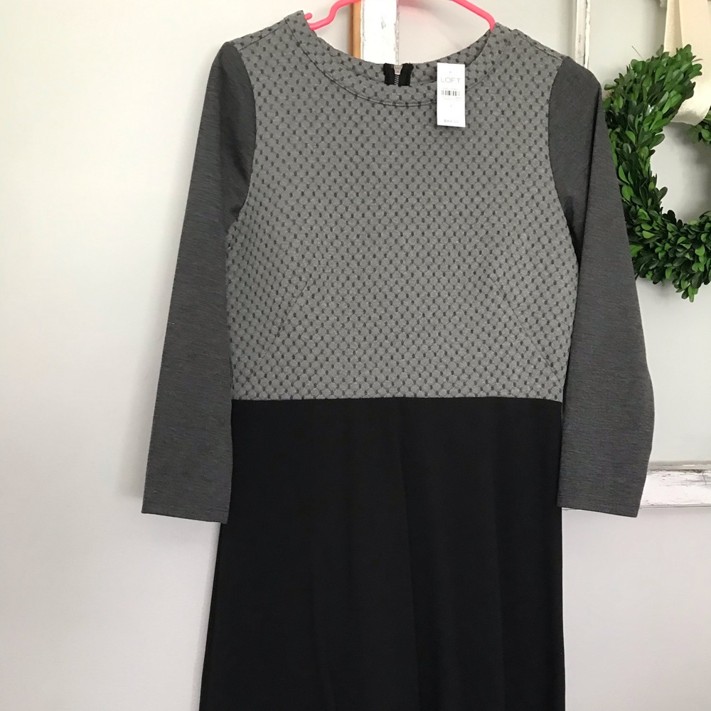 NWT: Loft Work Dress